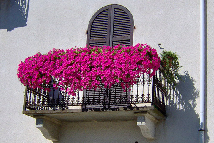 Balconi fioriti Bistagno