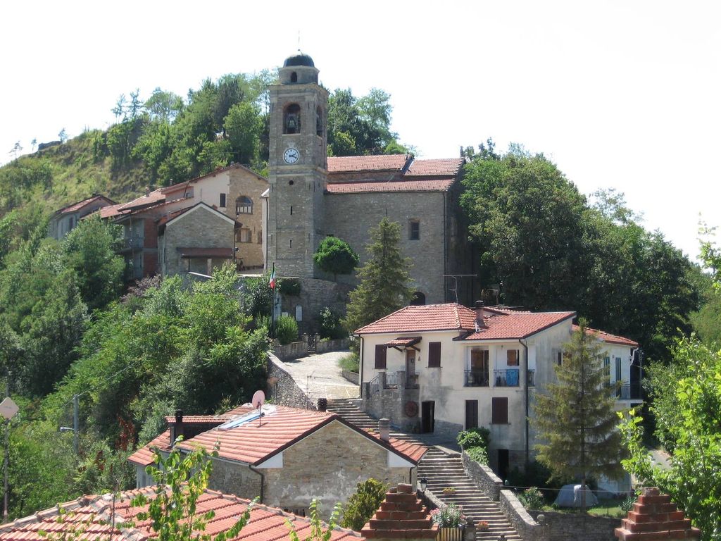 Il paese di Montechiaro d'Acqui