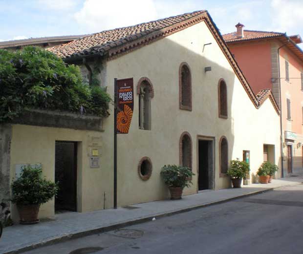 Ovada, Museo Paleontologico “Giulio Maini”