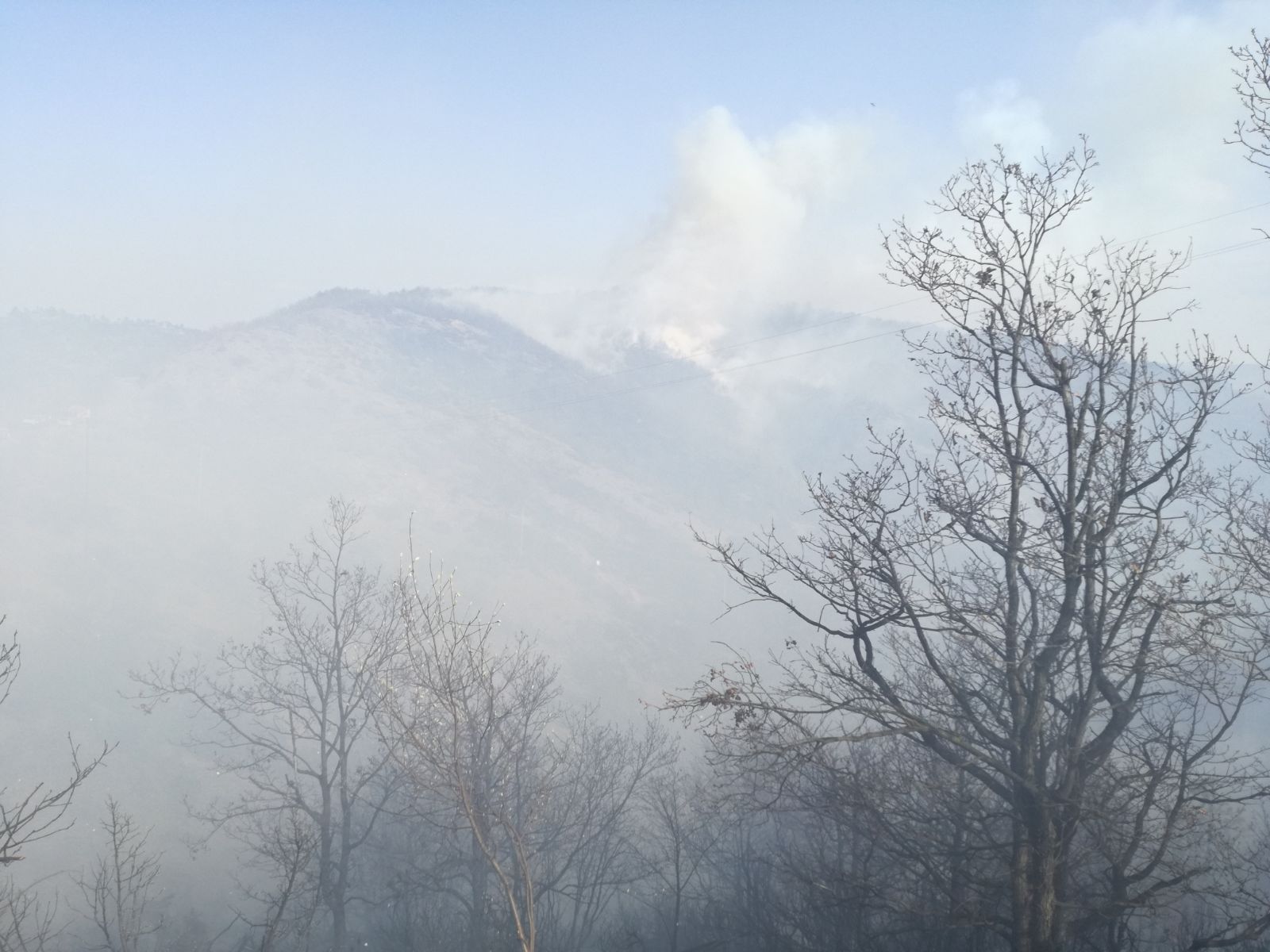 incendio nei boschi di Ponzone