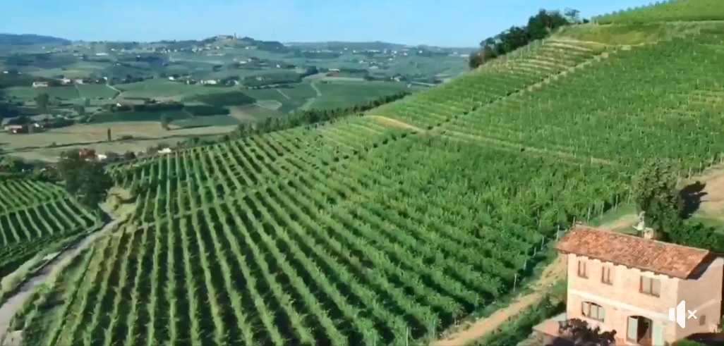paesaggi vitivinicoli Unesco