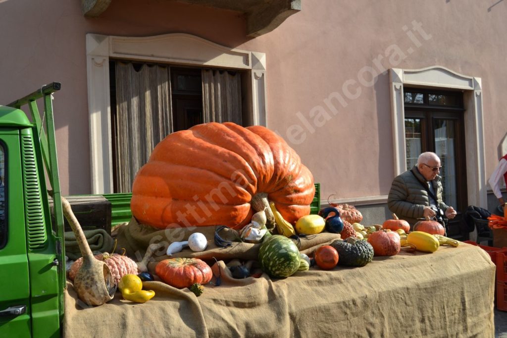 Bubbio, fiera San Simone e indovina peso maxi zucca benefica