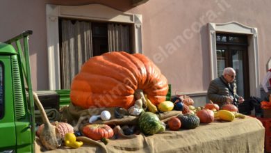 Bubbio, fiera San Simone e indovina peso maxi zucca benefica