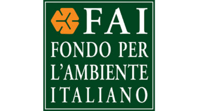 logo FAI