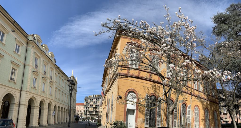 magnolia dei giardini dal Liceo Classico