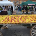 Cartosio alla grande 5ª “Primavera fruttuosa 2019” festa dei frutti antichi e degli innesti in piazza