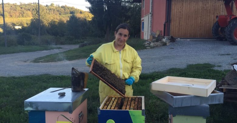 Maltempo, allarme per le api: “Dobbiamo nutrire le famiglie”