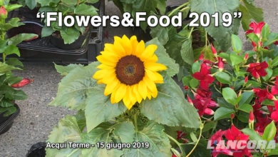 Acqui Terme - Flowers & Food 2019