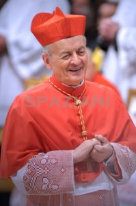 Lutto in Diocesi: è deceduto il cardinal Paolo Sardi
