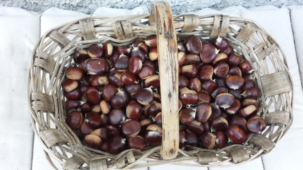 cesto di castagne