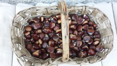 cesto di castagne