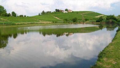 Castelnuovo Belbo
