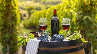 bottiglia di vino tra vigne