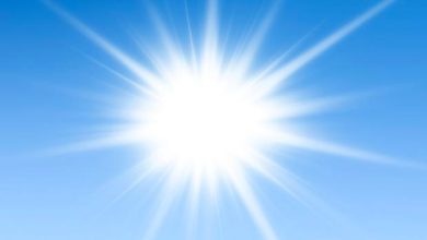sole