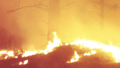 incendio